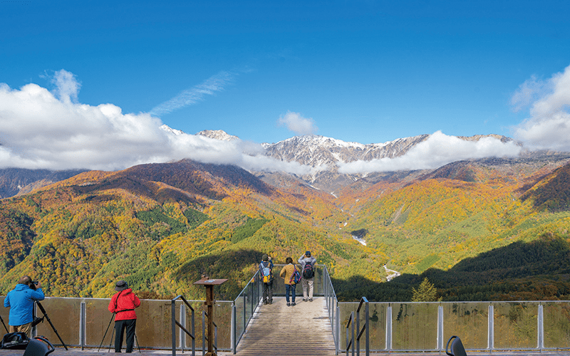 HAKUBA MOUNTAIN HARBOR