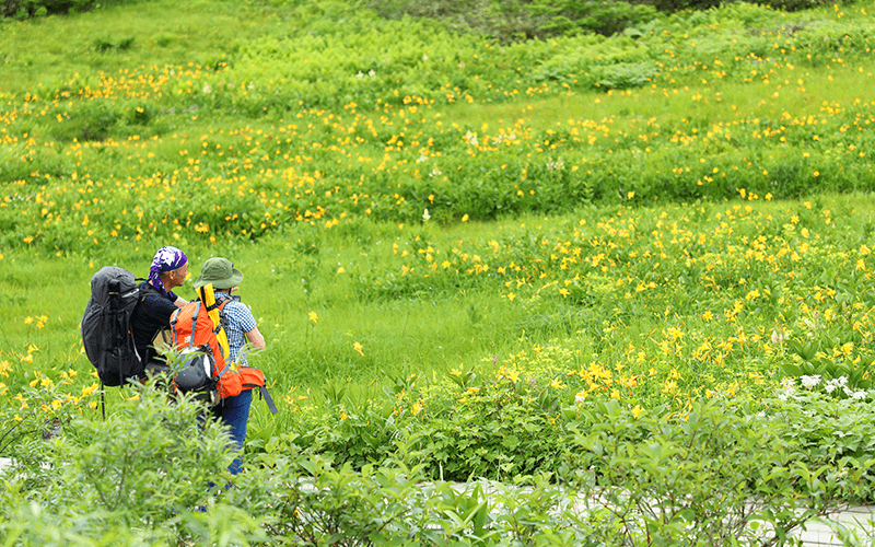 鎌池湿原 Kamaike Marshlands