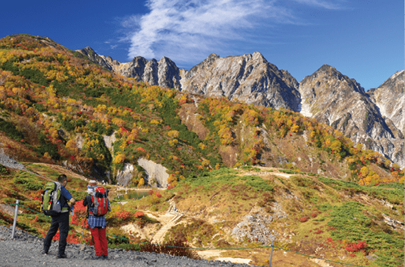 秋の魅力 The Beauty of Autumn