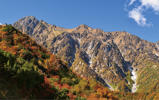 小遠見山トレッキング 紅葉