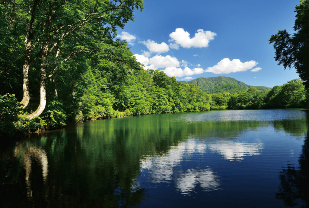 鎌池 Kama Ike Pond