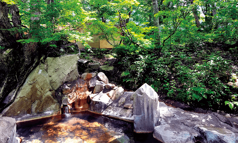 雨飾高原 露天風呂 Amakazari Kogen Open Air Bath