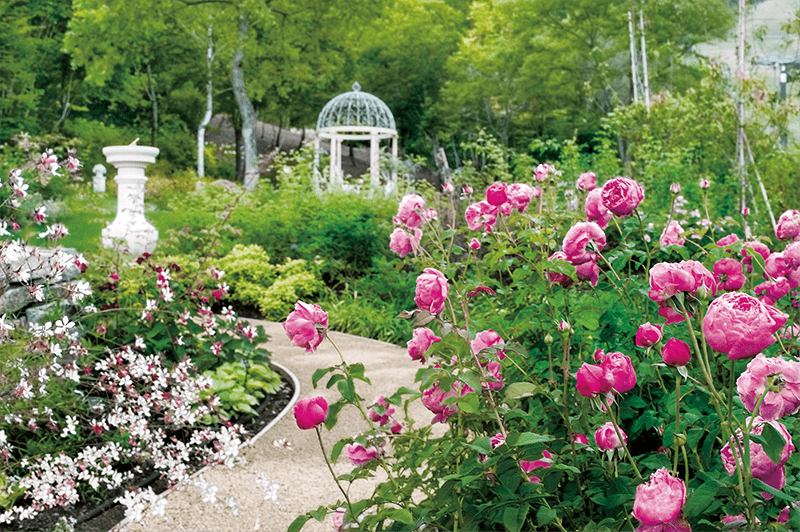 コルチナイングリッシュガーデン Cortina English Garden