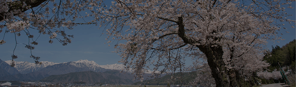 Omachi City: Yamada Town and Kita-Yamada Town