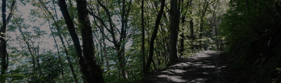 白馬村／佐野坂峠