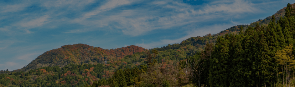 Otari Village: Uchu District