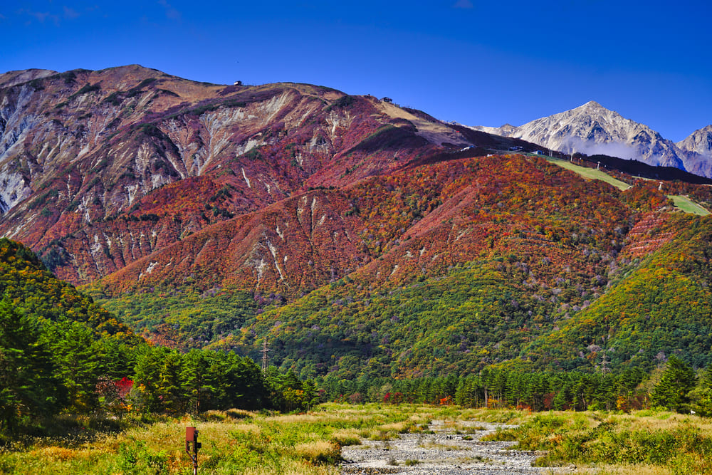 Hakuba Village: Karamatsudake (Kitaone Plateau)