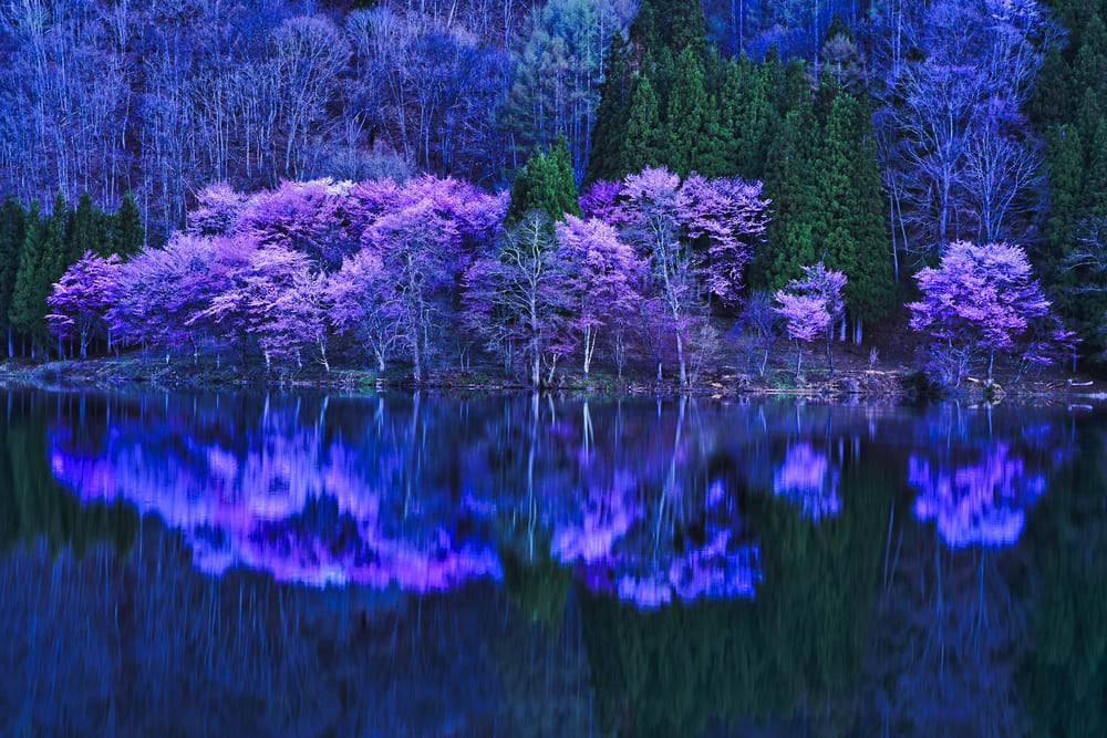 中綱夜雨