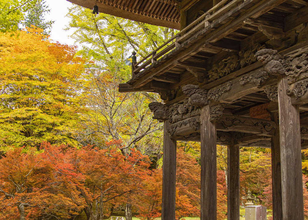 Omachi City: Reisho Temple