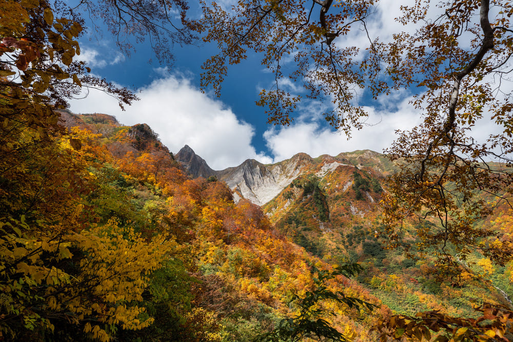 小谷村／雨飾山