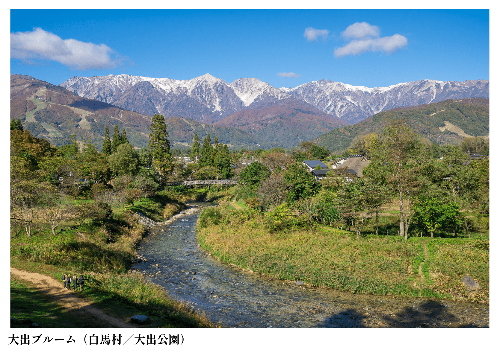 大出ブルーム（白馬村／大出公園）