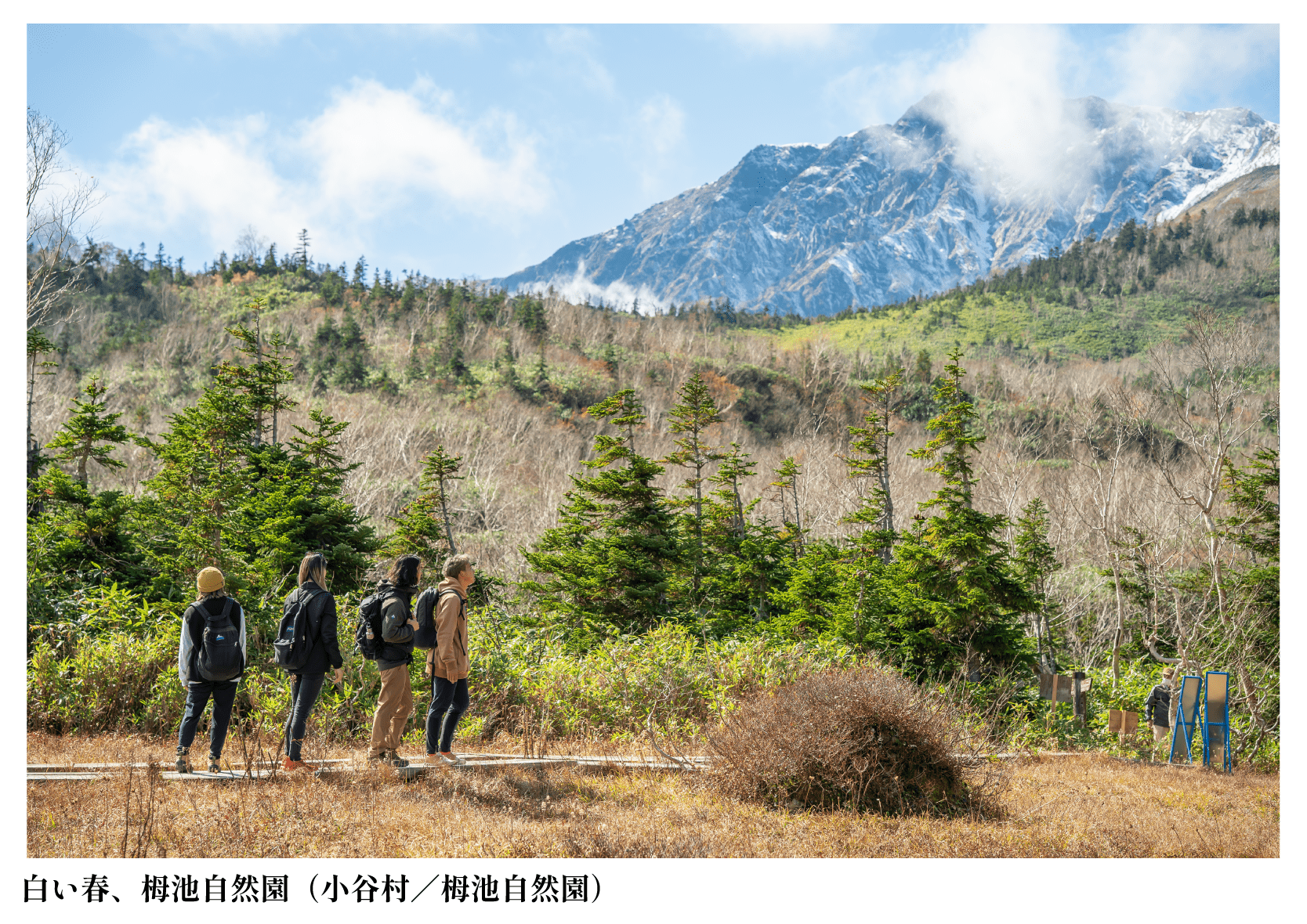 白い春、栂池自然園（小谷村／栂池自然園）