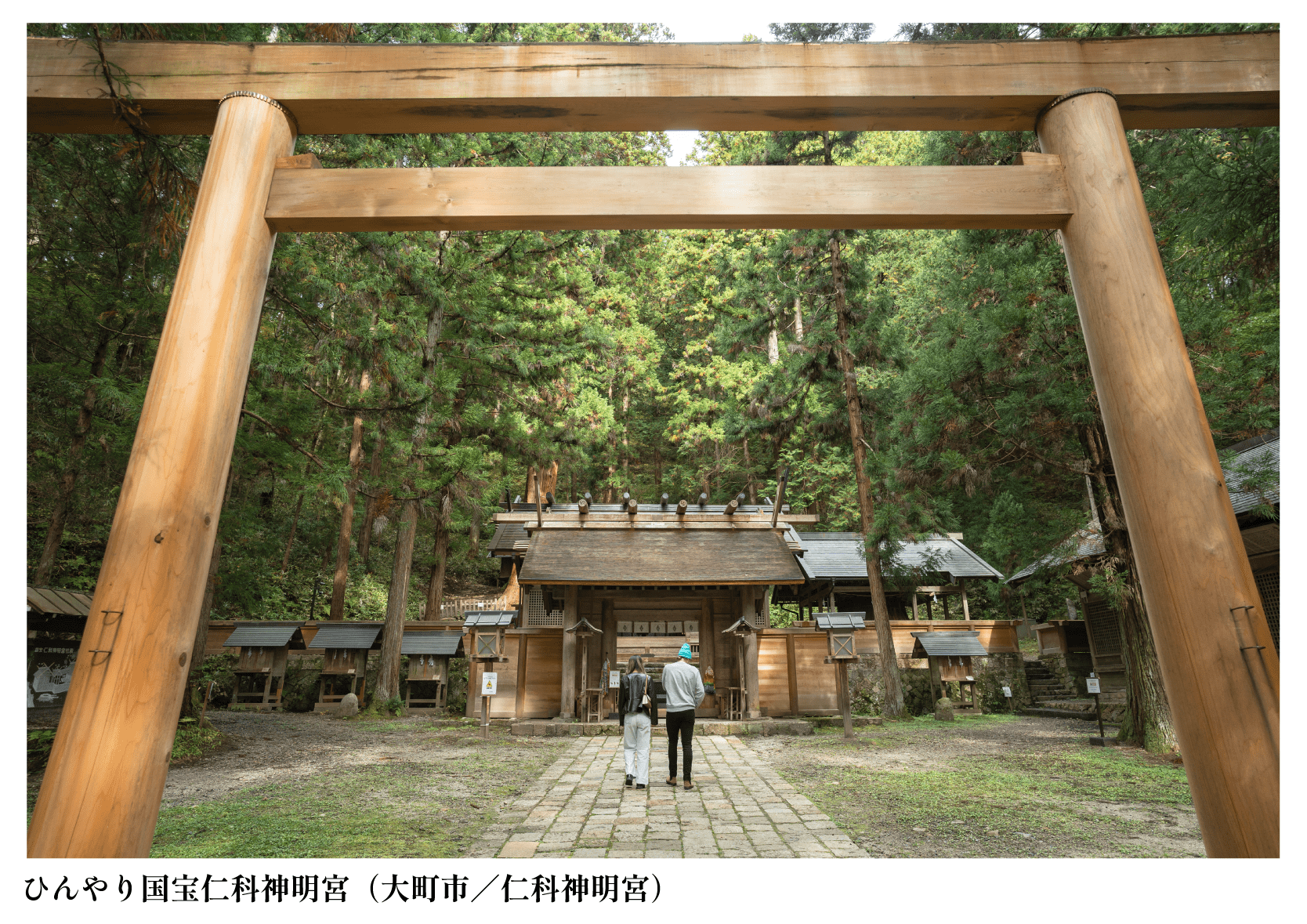 ひんやり国宝仁科神明宮(大町市/仁科神明宮)
