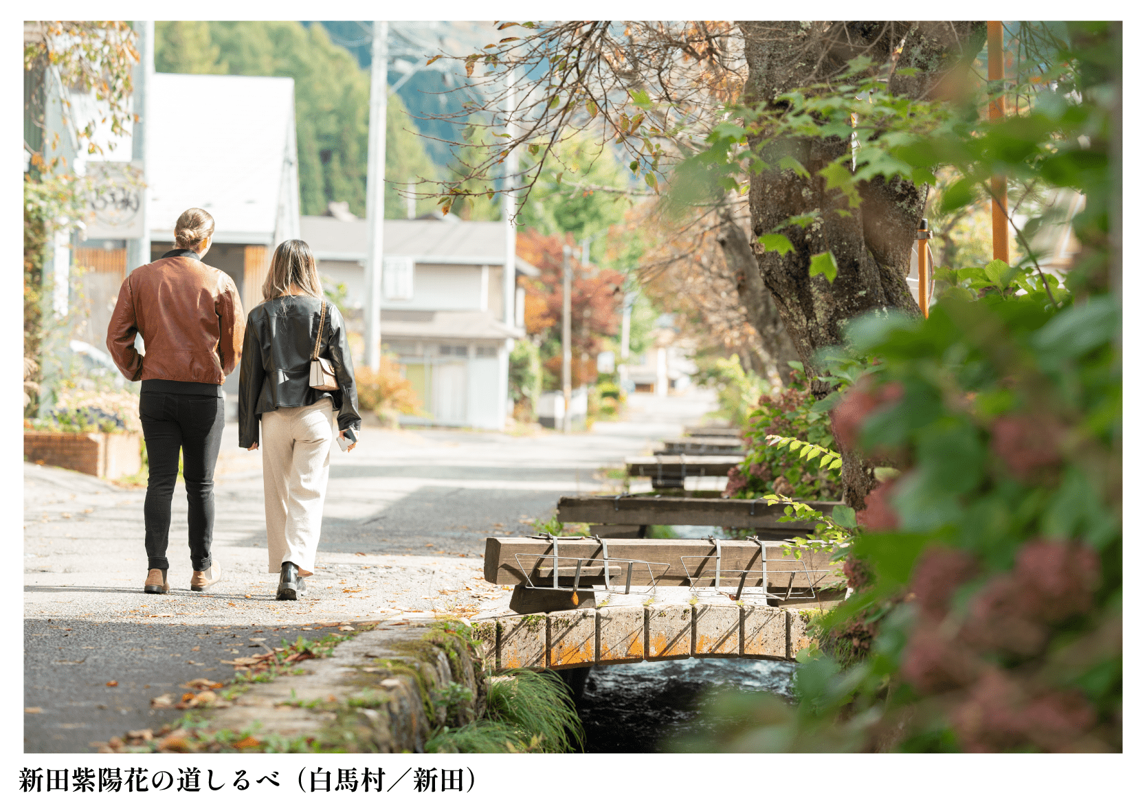 新田紫陽花の道しるべ（白馬村／新田）