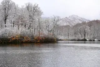 小谷村長賞